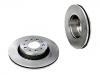 Disco de freno Brake Disc:40553052